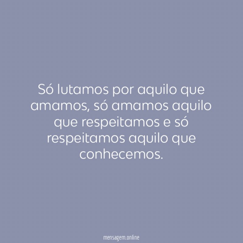 Só lutamos por aquilo que amamos