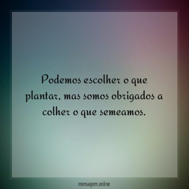Podemos escolher o que plantar