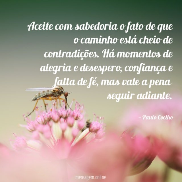 Aceite com sabedoria o fato de que