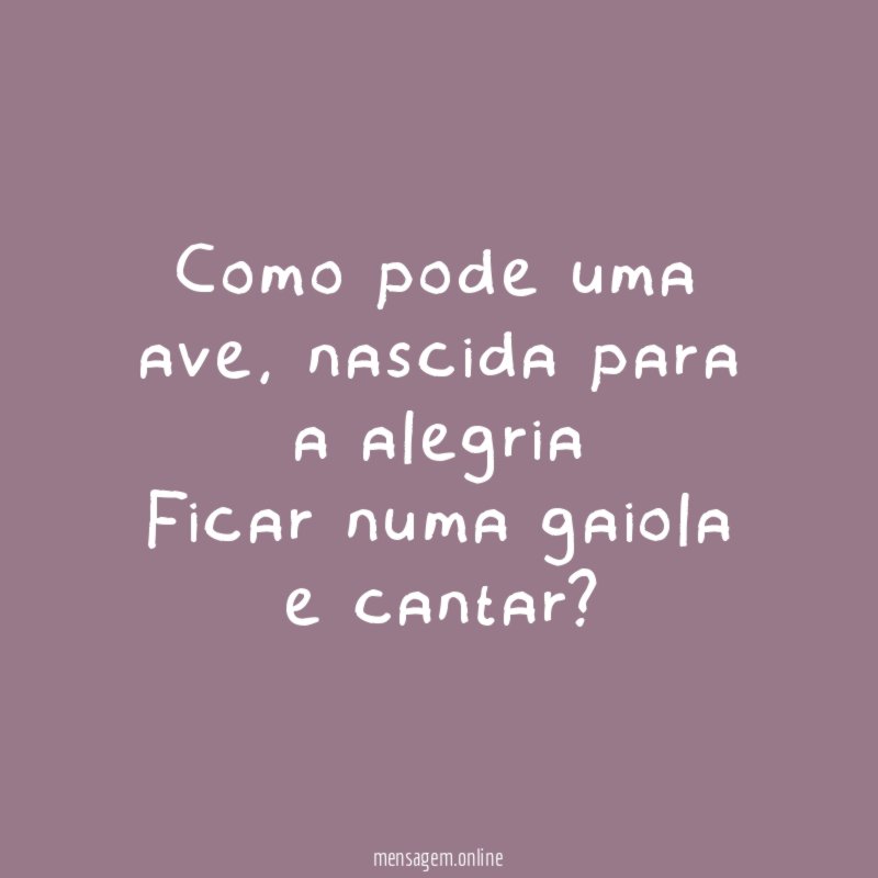 Como pode uma ave