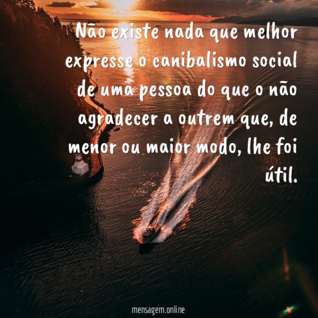 Não existe nada que melhor expresse o canibalismo
