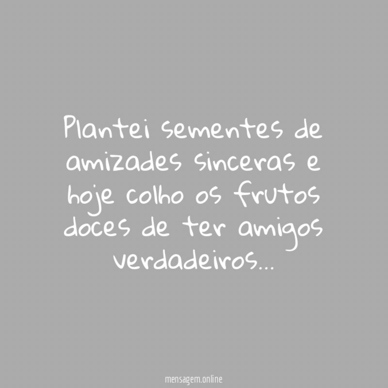 Plantei sementes de amizades sinceras e hoje colho