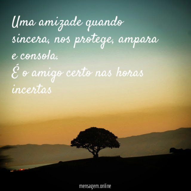 Uma amizade quando sincera