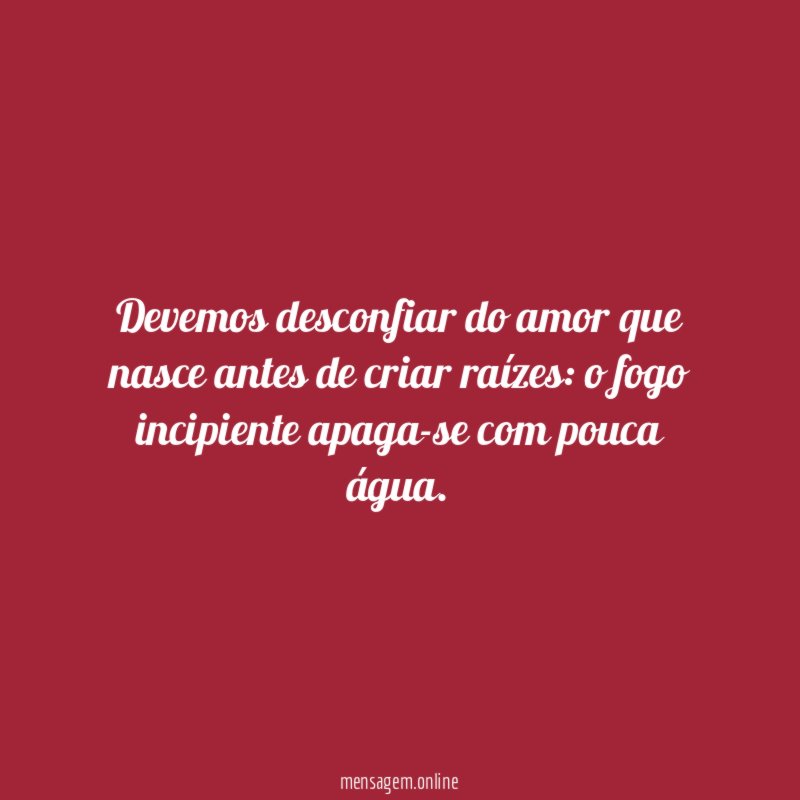 Devemos desconfiar do amor que nasce antes de criar raízes