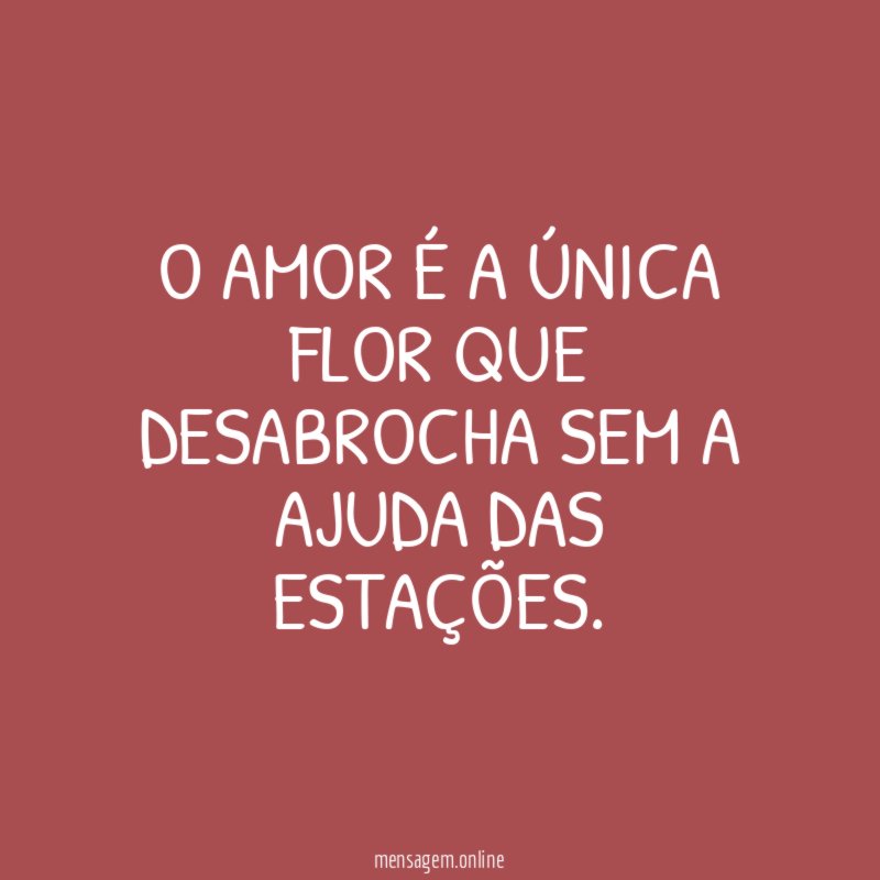 O amor é a única flor que desabrocha