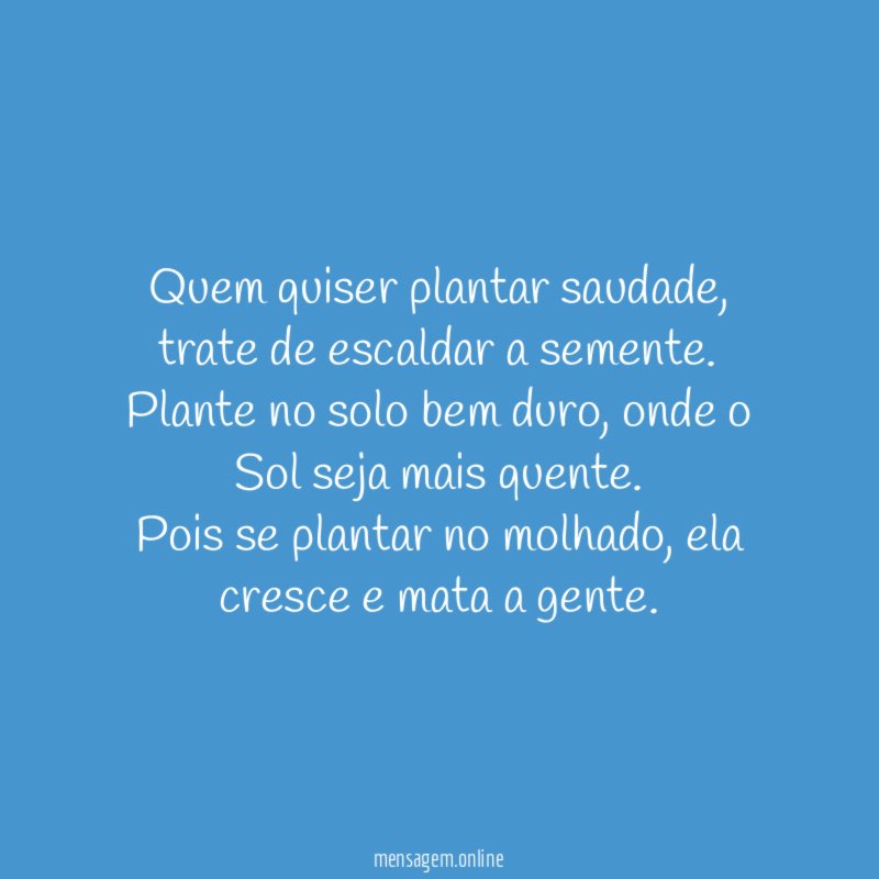 Quem quiser plantar saudade