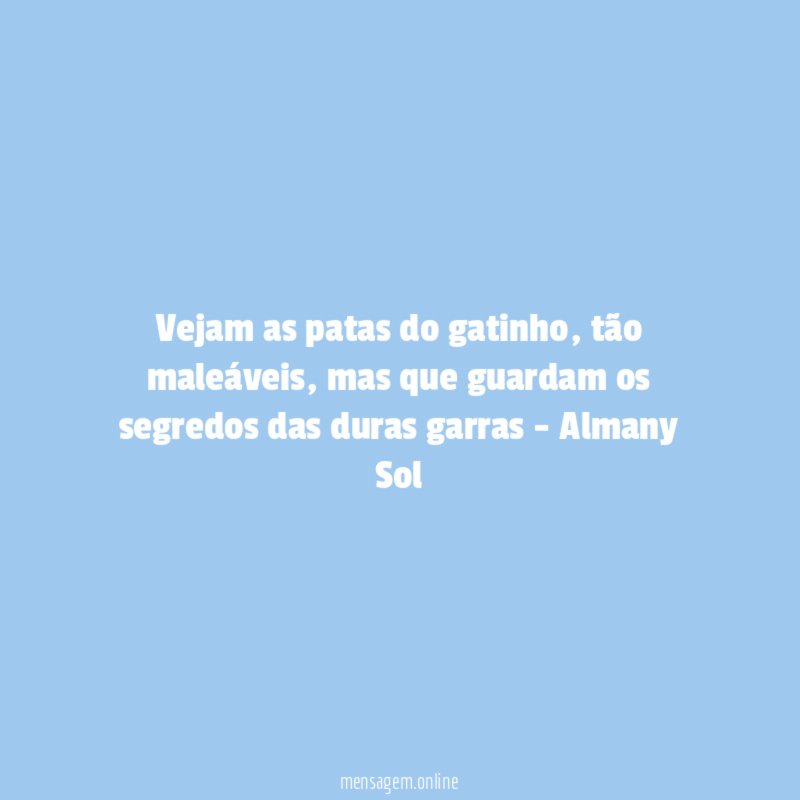 Vejam as patas do gatinho