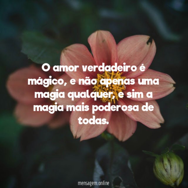 O amor verdadeiro é mágico