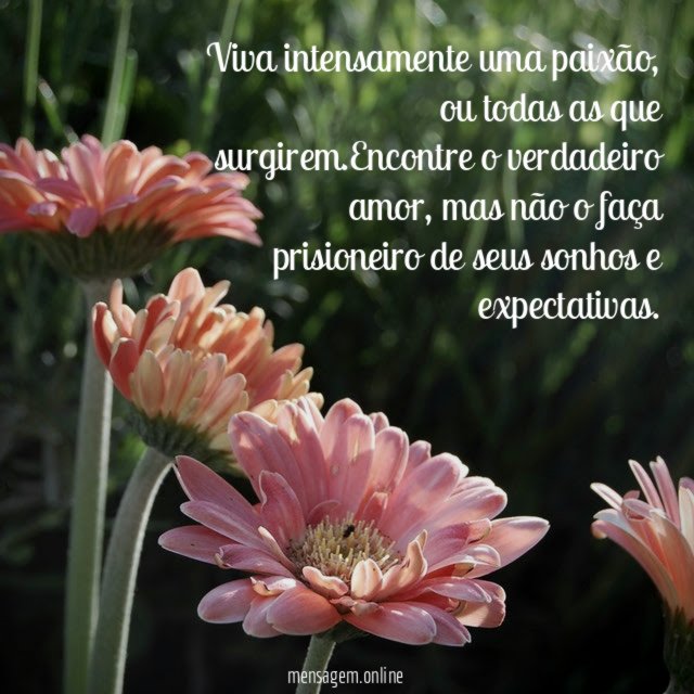 Viva intensamente uma paixão