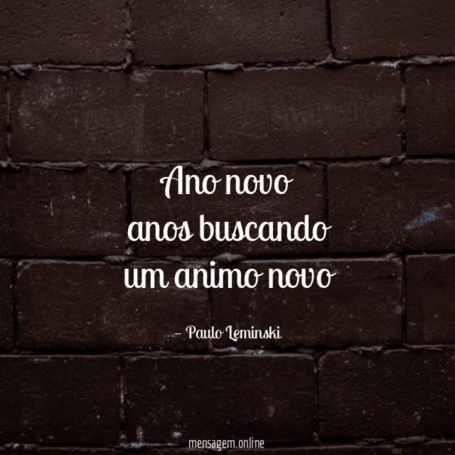 ano novo anos buscando um animo novo