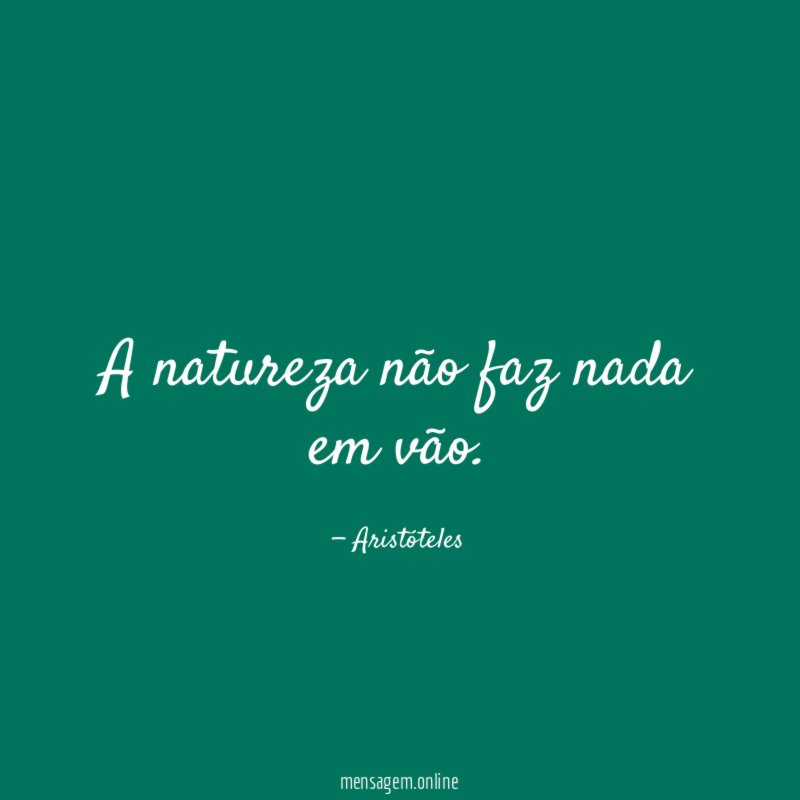 A natureza não faz nada em vão