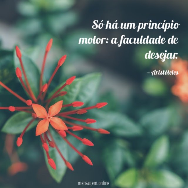 Só há um princípio motor