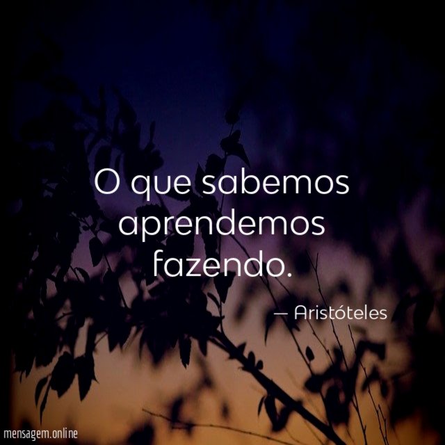 O que sabemos aprendemos fazendo