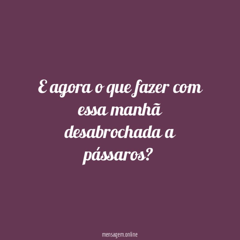 E agora o que fazer com essa manhã desabrochada a pássaros