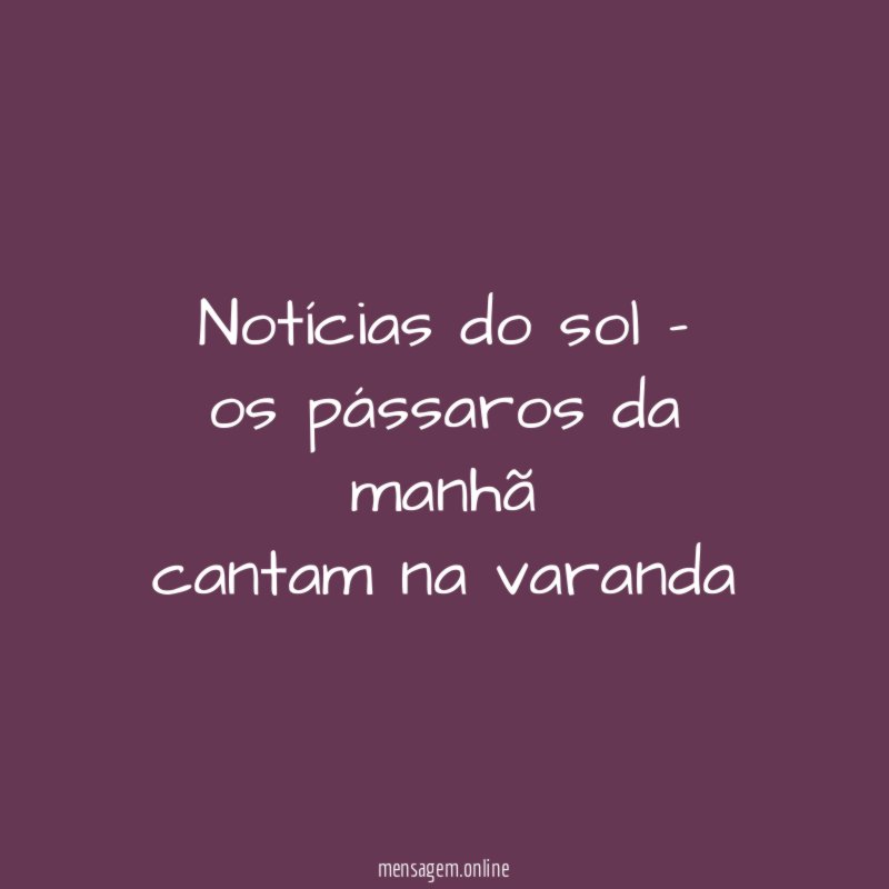 notícias do sol - os pássaros da manhã cantam na