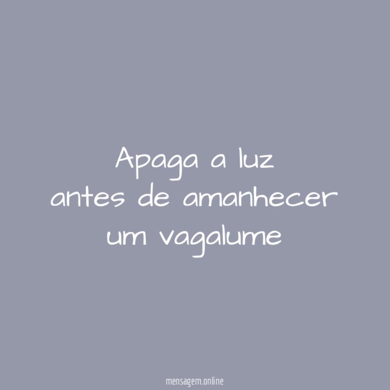 apaga a luz antes de amanhecer um vagalume