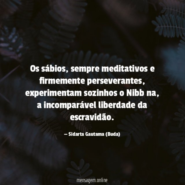 Os sábios