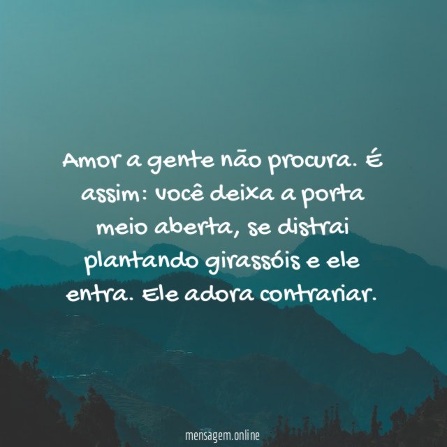 Amor a gente não procura