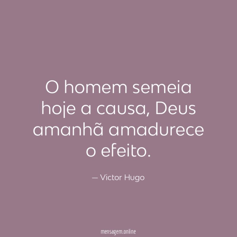 O homem semeia hoje a causa