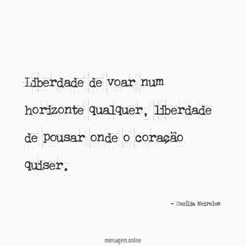 Liberdade de voar num horizonte qualquer