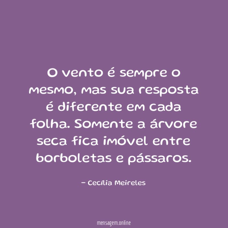 O vento é sempre o mesmo