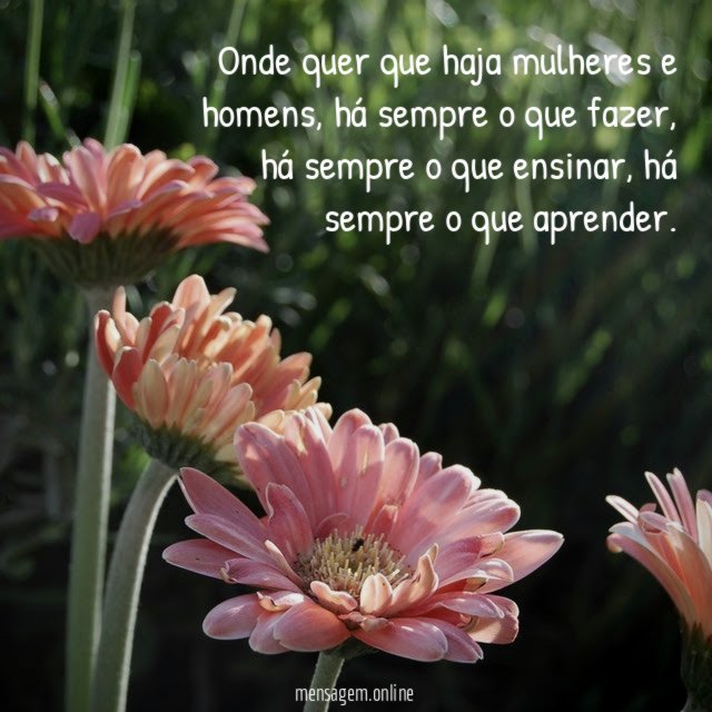 Onde quer que haja mulheres e homens