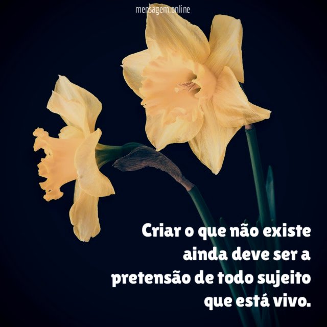 Criar o que não existe ainda deve ser