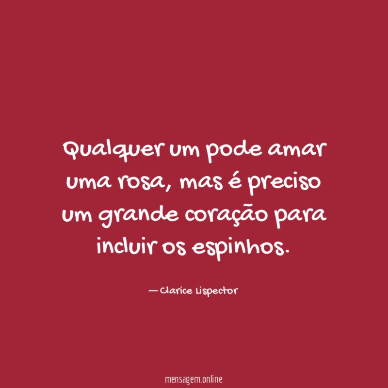 Qualquer um pode amar uma rosa