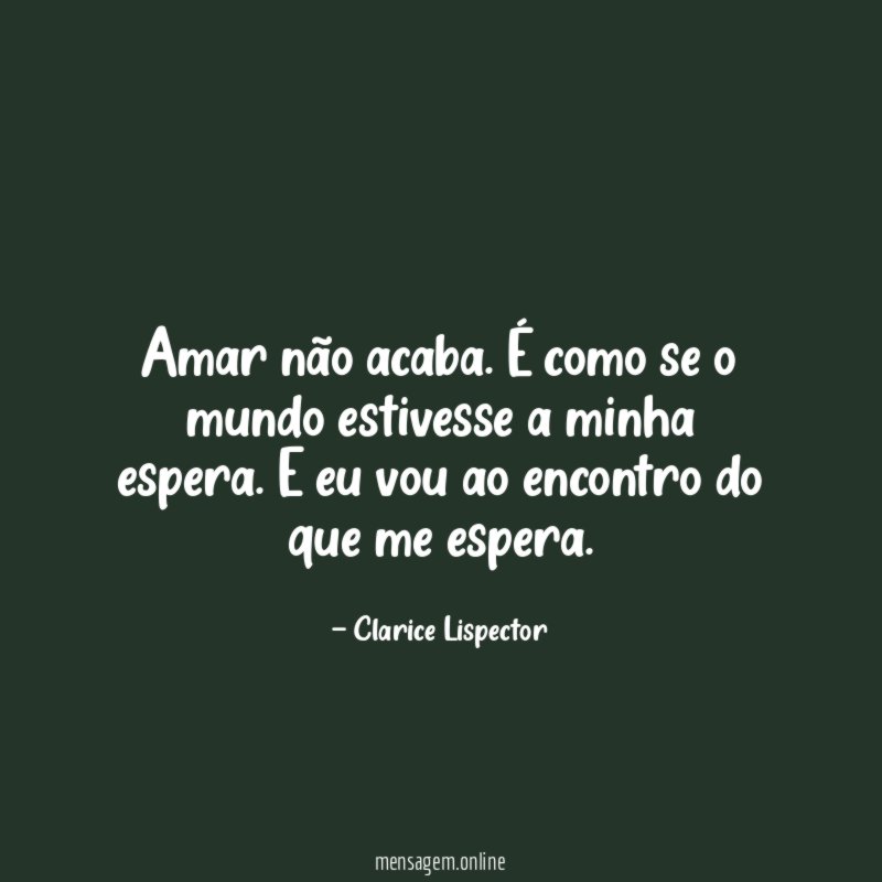 Amar não acaba