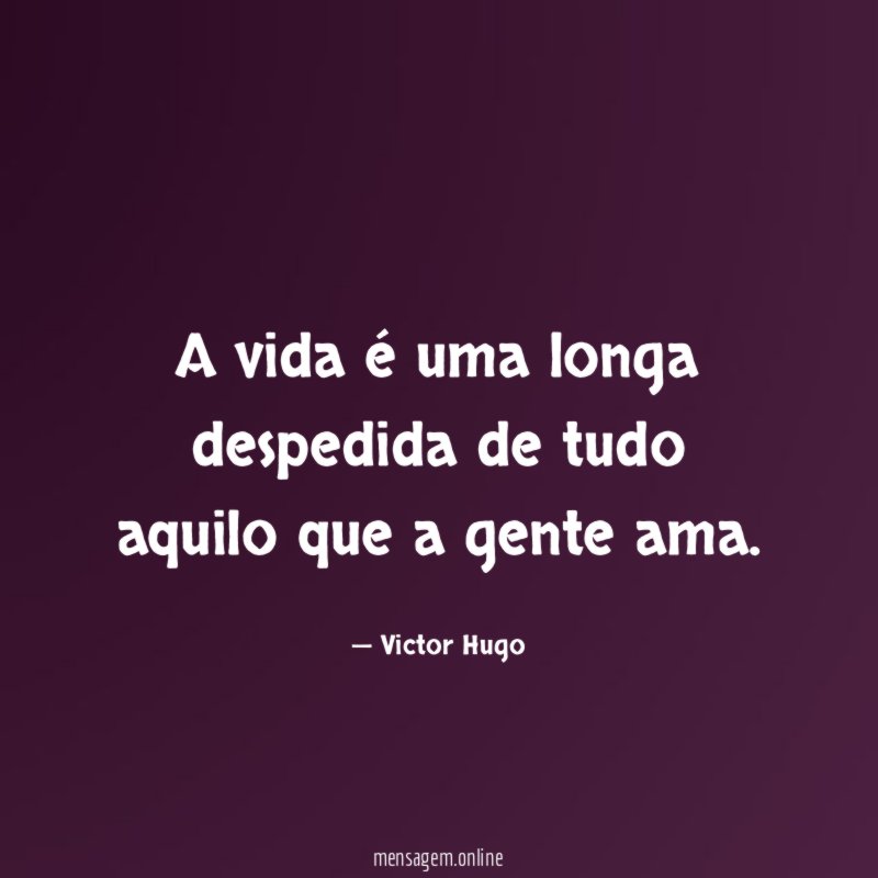 A vida é uma longa despedida de tudo aquilo que a gente ama