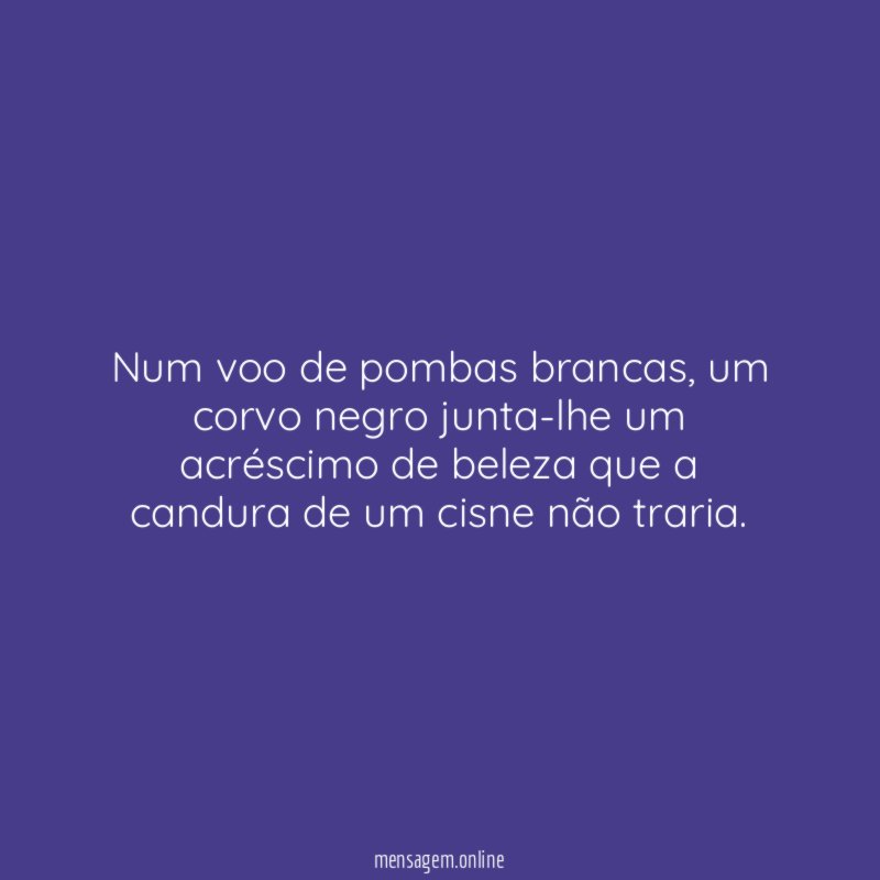 Num voo de pombas brancas
