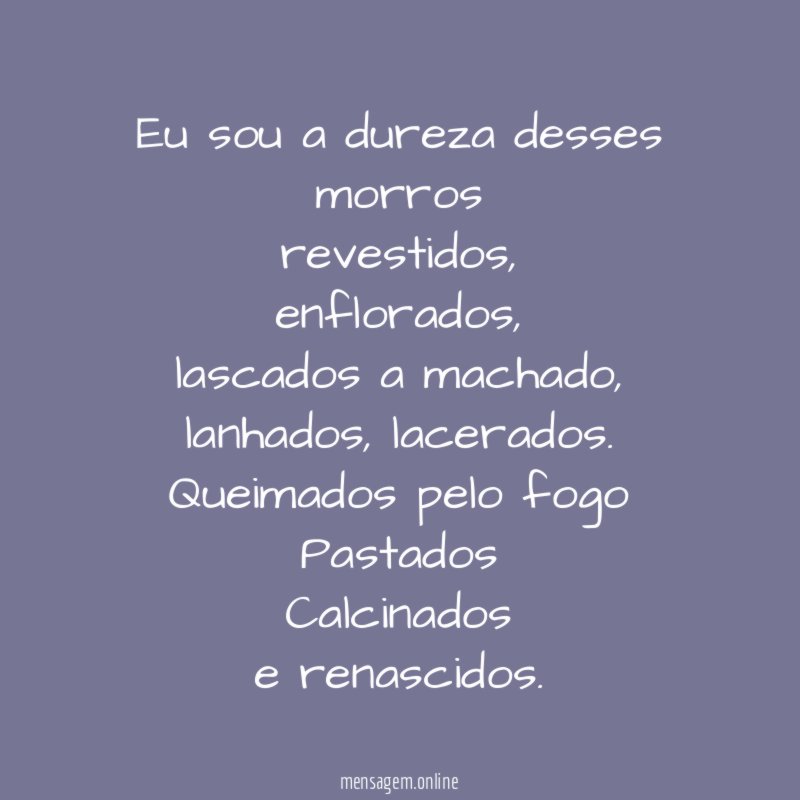 Eu sou a dureza desses morros revestidos