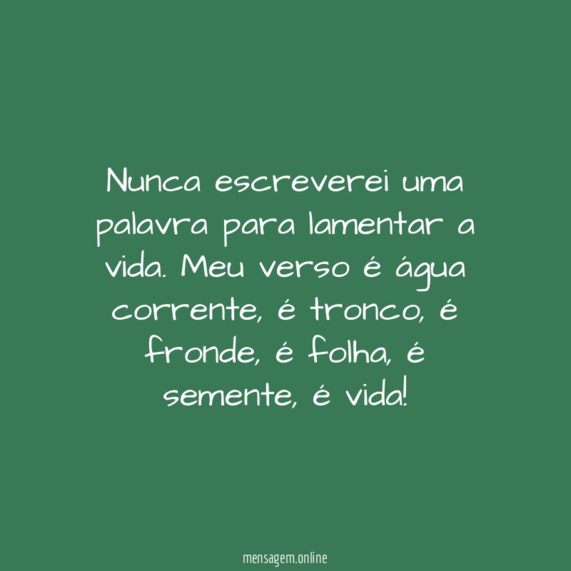 Nunca escreverei uma palavra para lamentar a vida