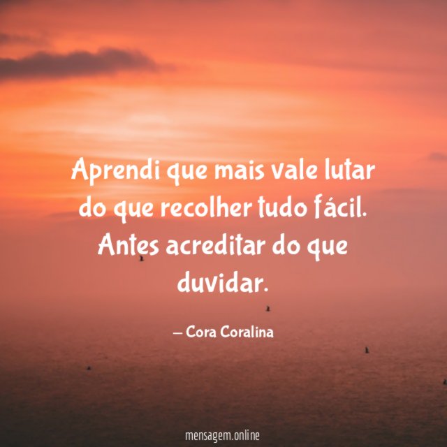 Aprendi que mais vale lutar do que recolher tudo fácil