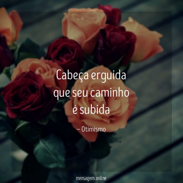 Cabeça erguida que seu caminho é subida