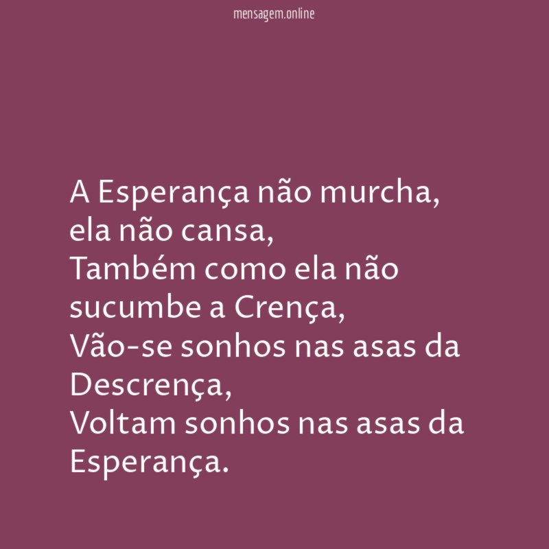 A Esperança não murcha