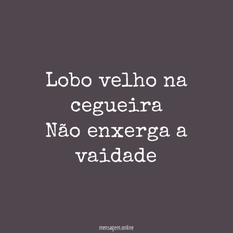 Lobo velho na cegueira Não enxerga a vaidade