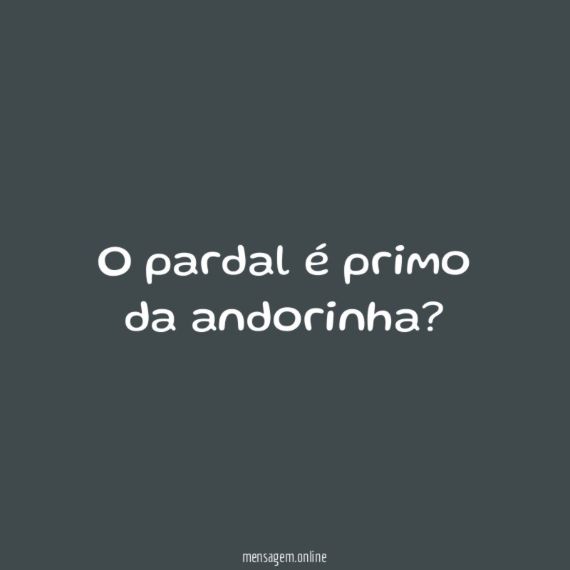 O pardal é primo da andorinha