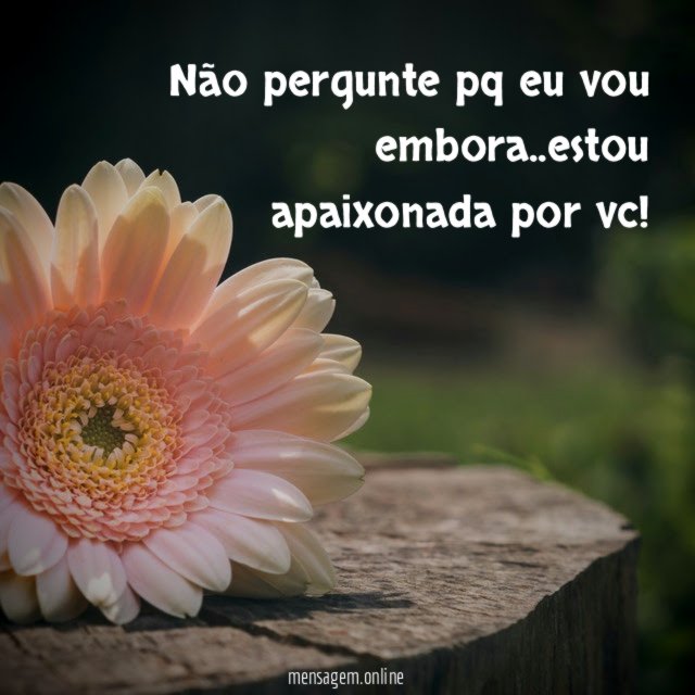 Não pergunte pq eu vou embora