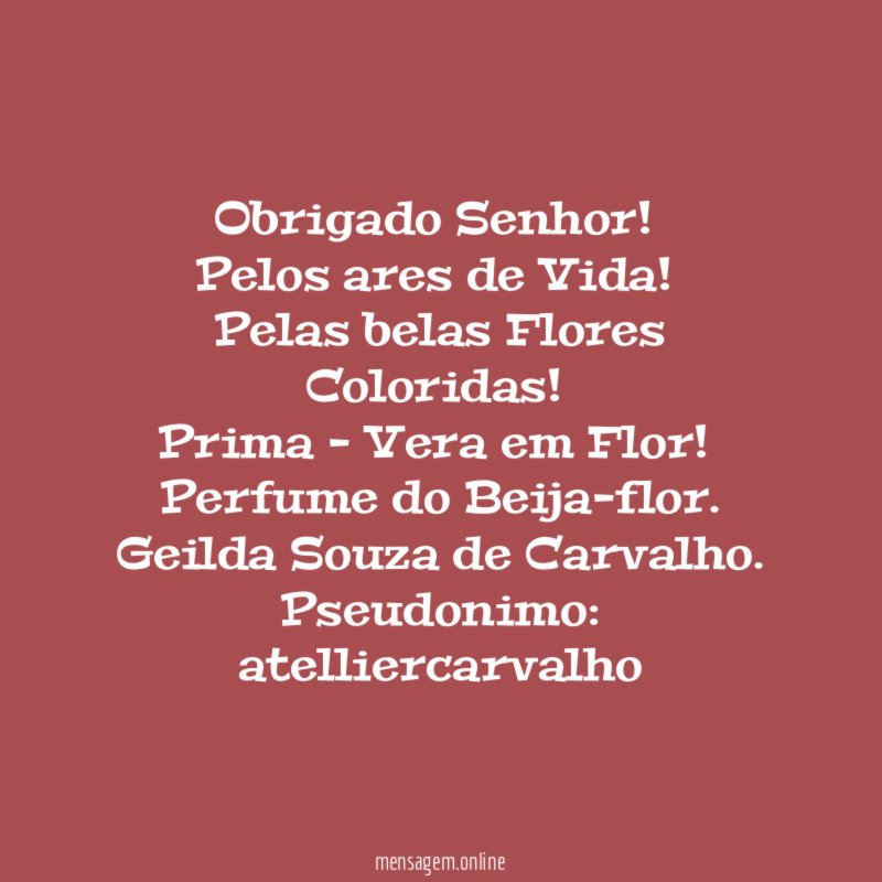 Obrigado Senhor!
Pelos ares de Vida!
Pelas belas Flores Coloridas!
Prima - Vera em Flor!
Perfume do Beija-flor.