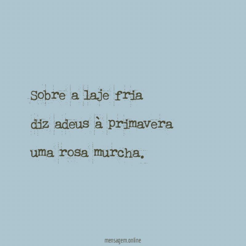 Sobre a laje fria diz adeus à primavera uma rosa murcha