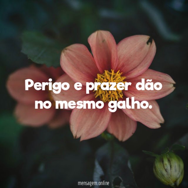 Perigo e prazer dão no mesmo galho
