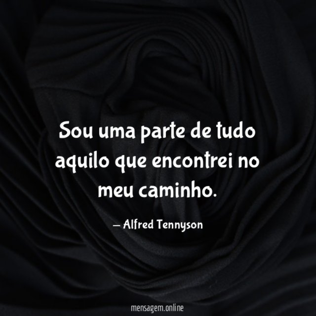 Sou uma parte de tudo aquilo que encontrei no meu caminho