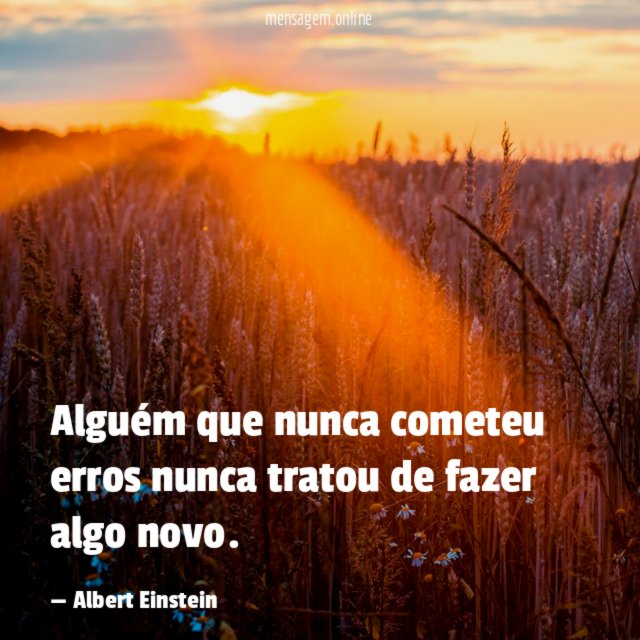 Alguém que nunca cometeu erros nunca tratou de fazer algo novo