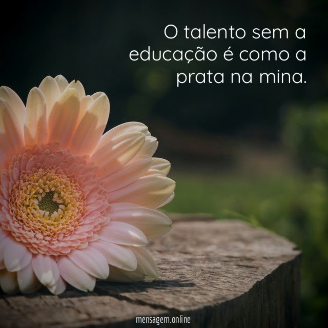 O talento sem a educação é como a prata na mina