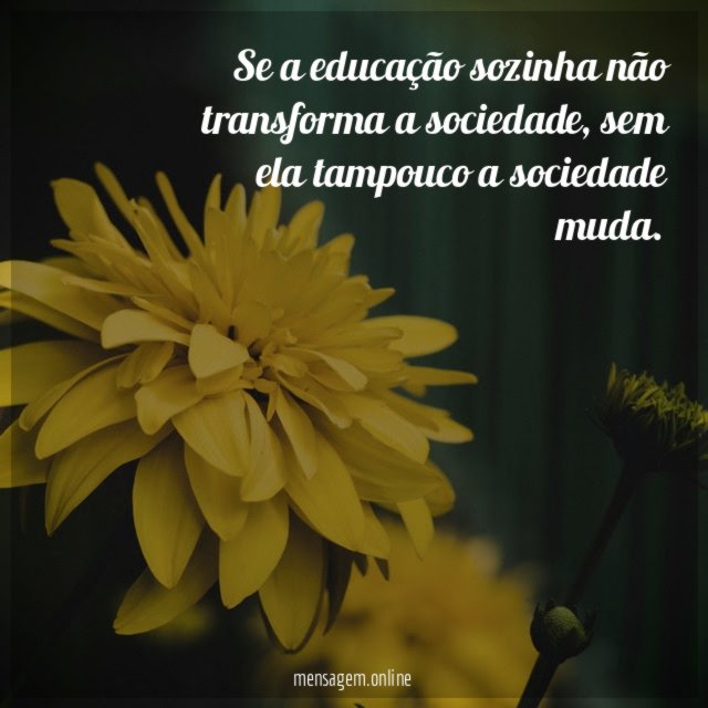 Se a educação sozinha não transforma a sociedade