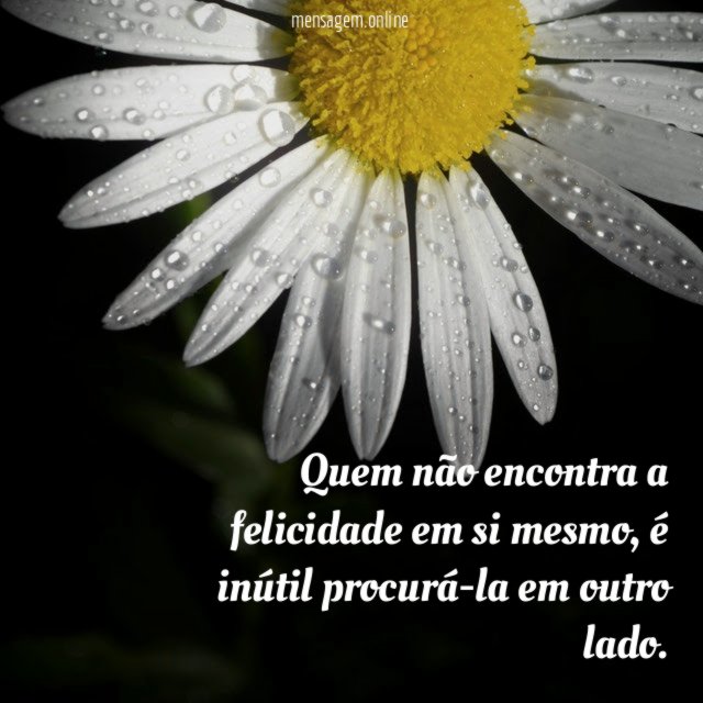 Quem não encontra a felicidade em si mesmo