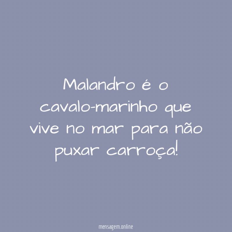 Malandro é o cavalo-marinho que vive no mar