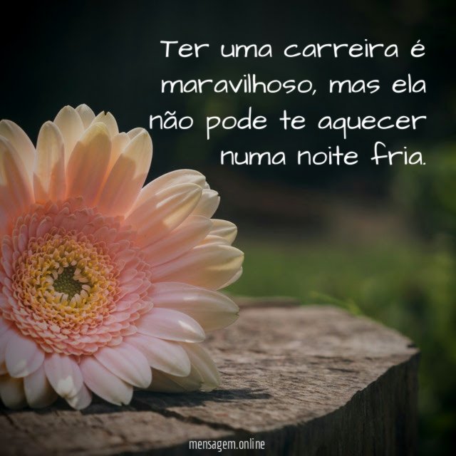 Ter uma carreira é maravilhoso