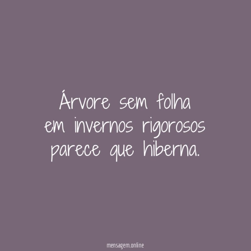 Árvore sem folha em invernos rigorosos parece que hiberna
